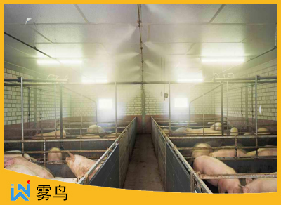 養豬場噴霧消毒除臭系統